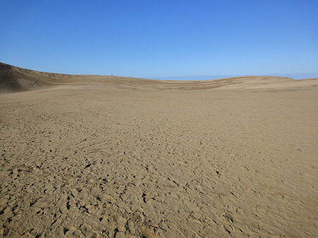 DSC01142.JPG