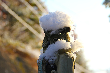 20111217_3671