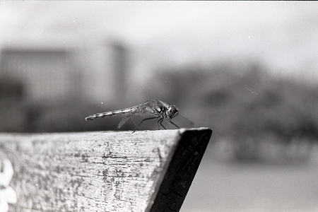 201109-10-013PZ