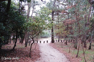 大分 八幡奈多宮