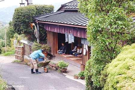 吉野山 国道169号
