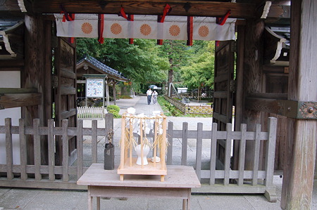 2011年08月14日_DSC_1015