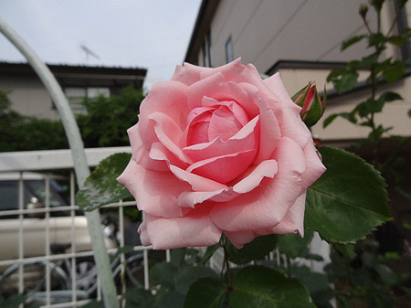 10hago24061502