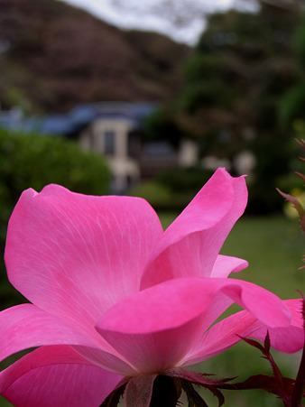 鎌倉文学館