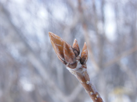 DSCF5887