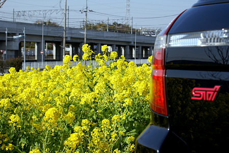 DSC08875a