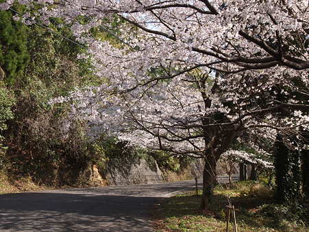 2012 春