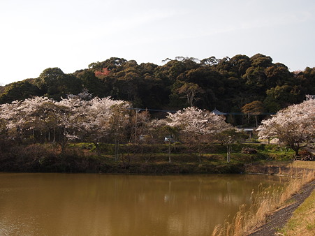 安国寺