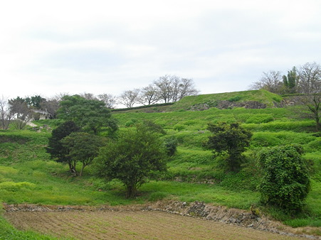 原城