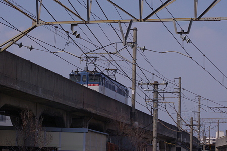 IMGP7389