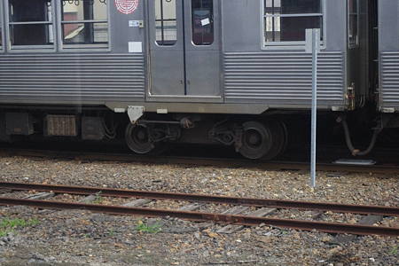 IMGP2849