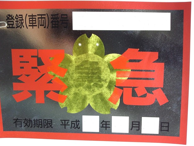 亀に見える？
