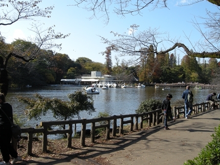 DSCN1184