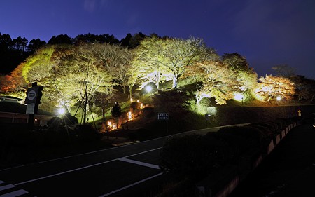 比叡山16