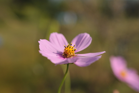 DSC_0546.JPG