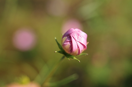 DSC_0548.JPG
