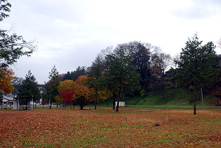 DSC_0601