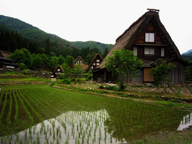 白川村