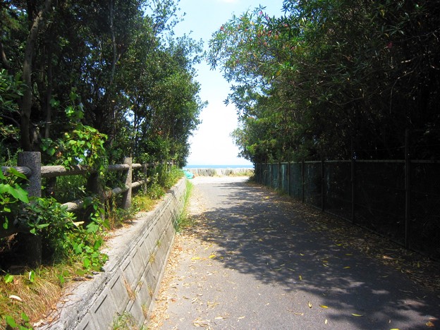 篠島北部