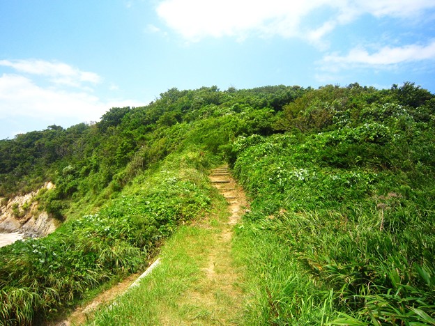 篠島南部