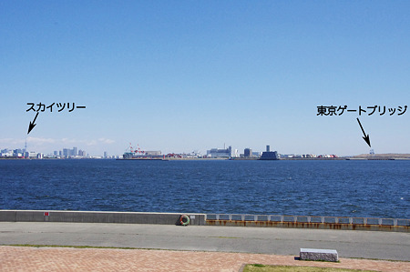 埋め立て地成長中