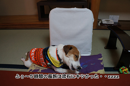 DSC01148_org