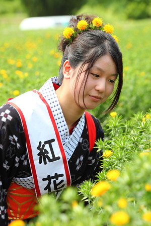 紅花娘