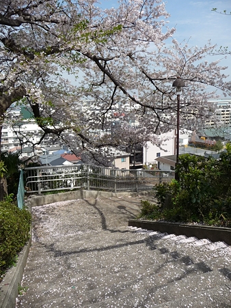 120413-港の見える丘公園 (37)