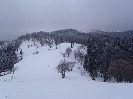 2012040124