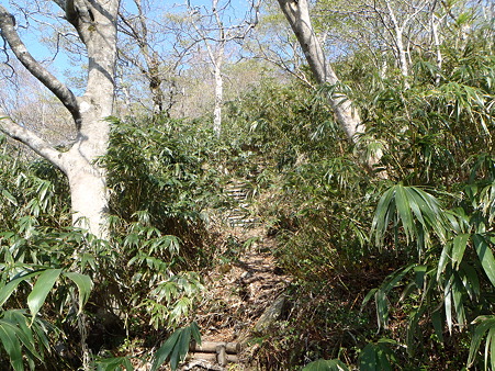 2012050507