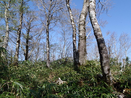 2012050508
