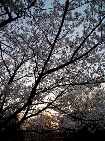 DSCN0820