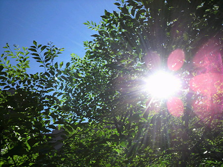 空…2011/7/10