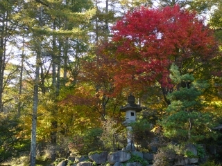 紅葉