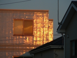 金色に