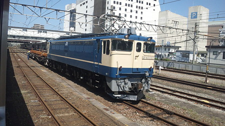 EF65-1103とチキ( 八王子駅)