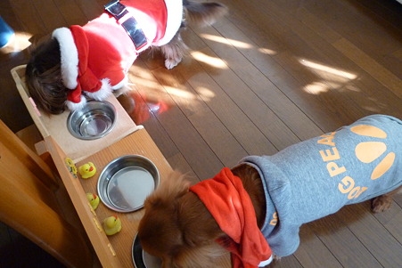 クリスマス