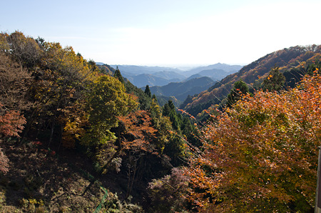 IMGP4089