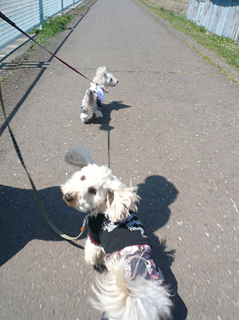 120408_koo_mira_1