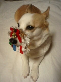 クリスマス