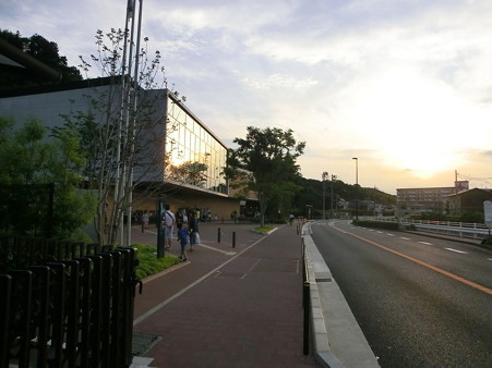 CIMG2130.JPG