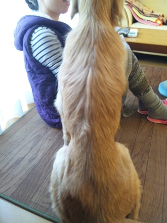 少しだけ太ったよ