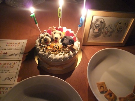 3頭合同の誕生日会