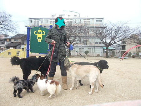 5頭でのお散歩