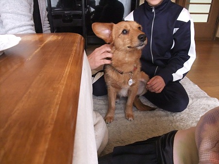 やさしく撫でてくれるお兄ちゃん