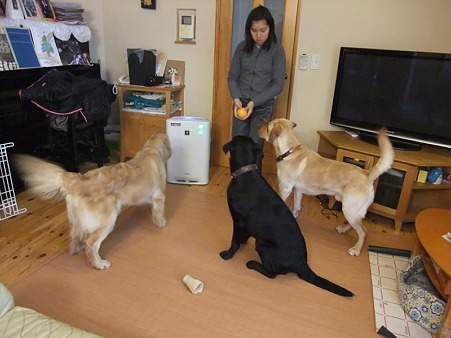 あれ、なんか1頭多くない?!