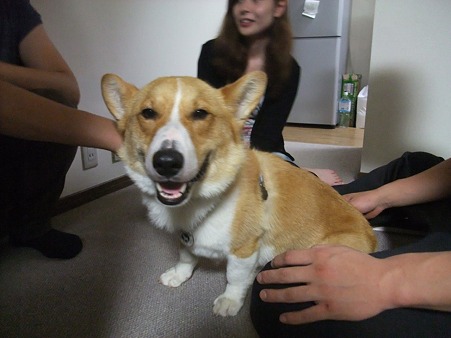 どう似合う?