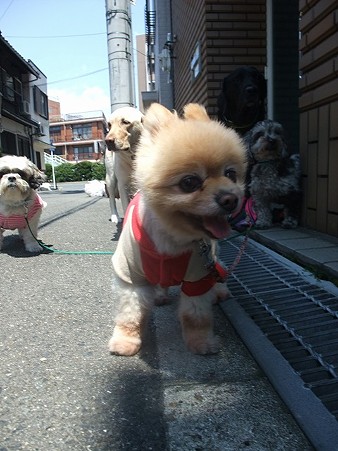 かんちゃんはいつも可愛かったね