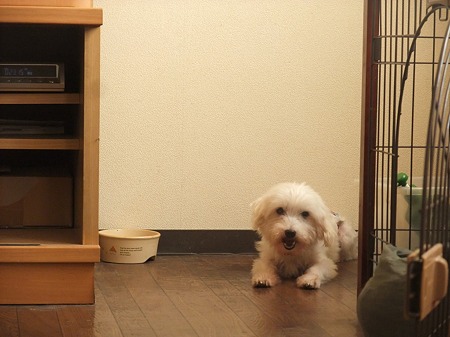 なんで隅っこ・・・