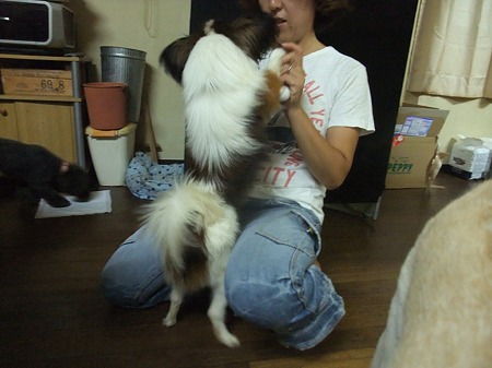 すがちゃんと戯れる琉生